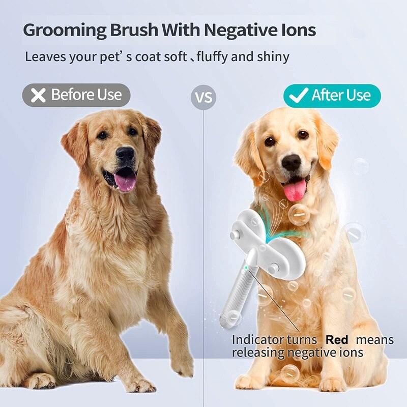 Double-Headed Negative Ion Self-Cleaning Pet Brush
