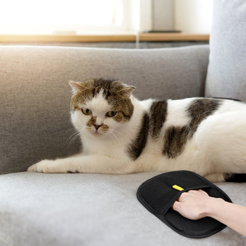 3-in-1 Grooming, De-shedding, and Multi-Surface Hair Remover for Dogs and Cats.