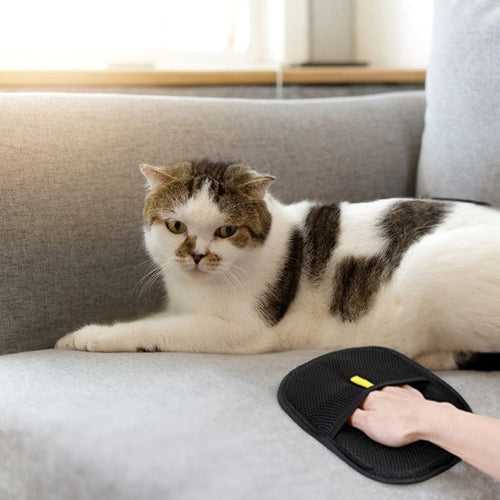 3-in-1 Grooming, De-shedding, and Multi-Surface Hair Remover for Dogs and Cats.
