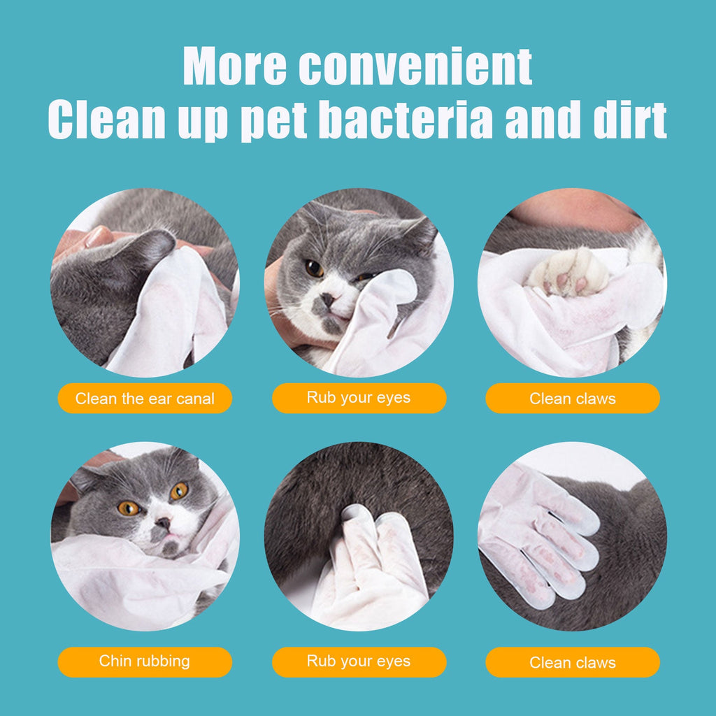 No-Bath No-Wash Non-Woven Gloves for Dogs and Cats.