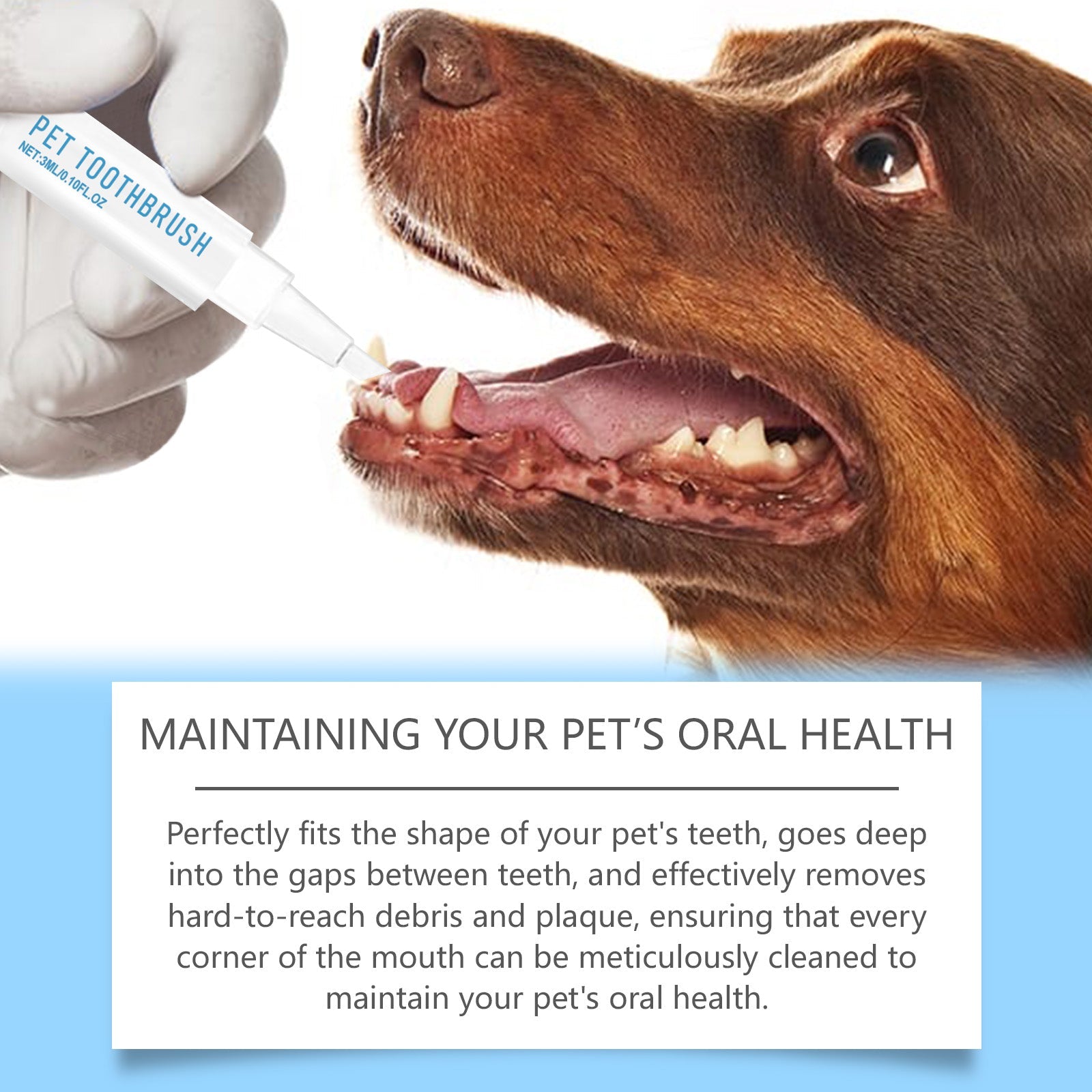 Pet Toothbrush and Cleaning Pen for Dogs.