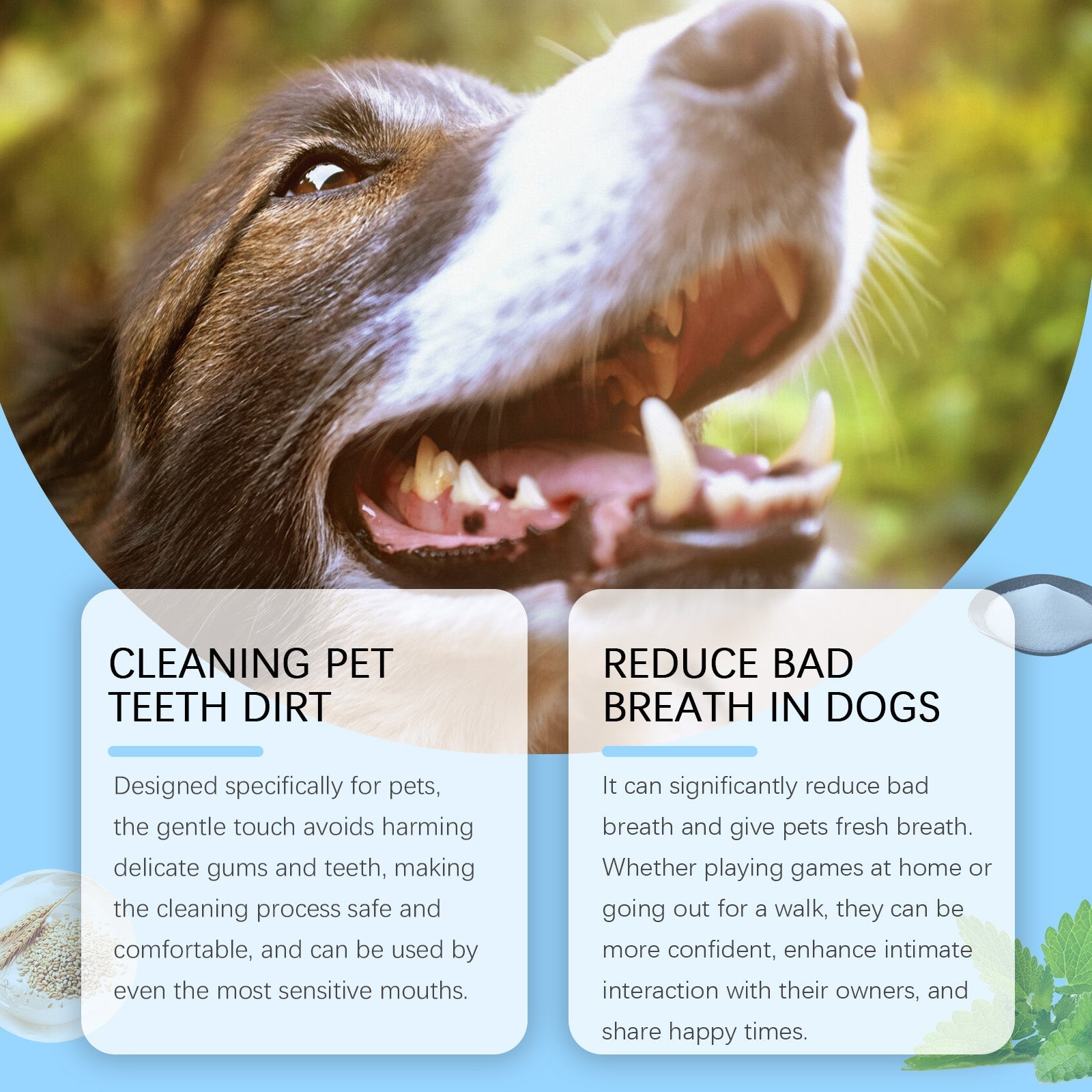 Pet Toothbrush and Cleaning Pen for Dogs.