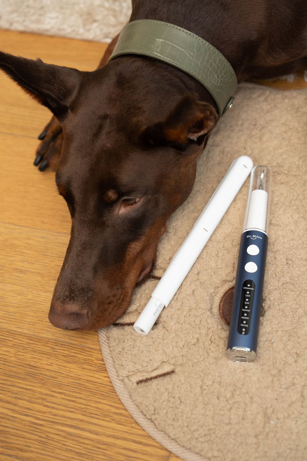 Professional Ultrasonic Tartar Remover & Electric Toothbrush for Dogs & Cats.