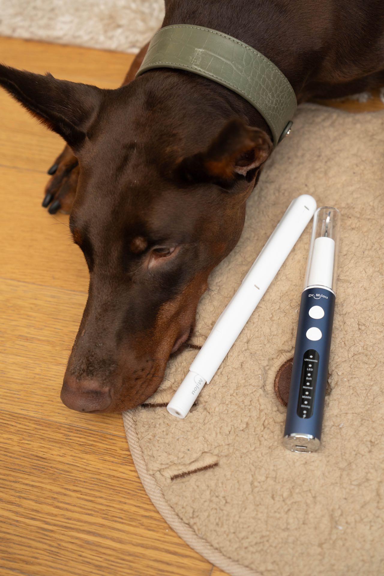 Professional Ultrasonic Tartar Remover & Electric Toothbrush for Dogs & Cats.