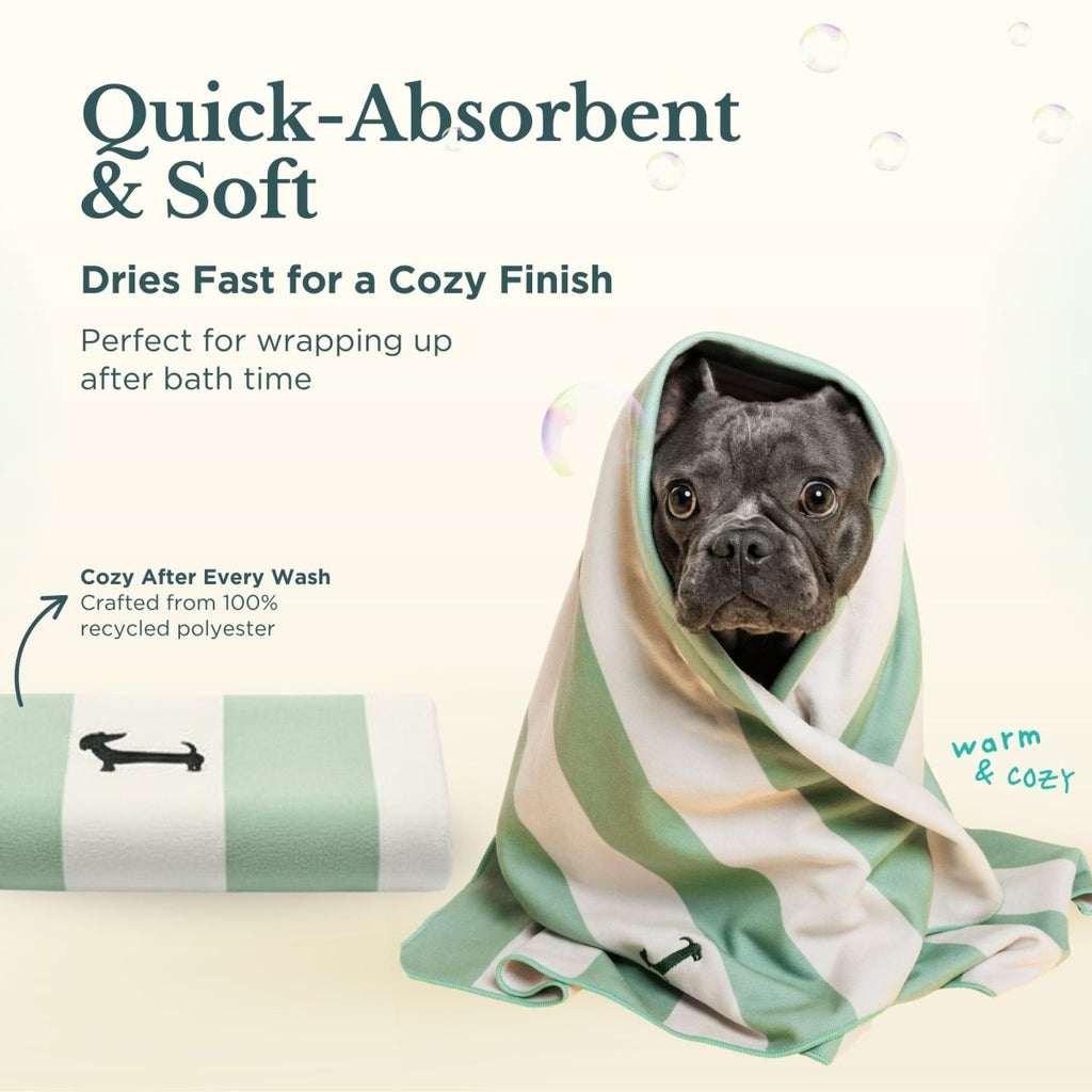 3-Piece Bathing Kit for Dogs and Cats.
