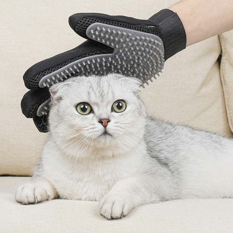 Silicone Grooming Gloves.