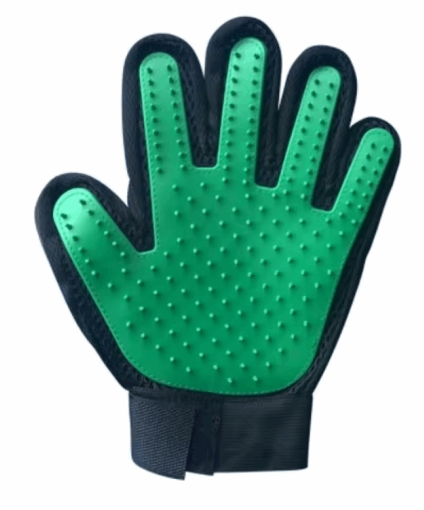 Silicone Grooming Gloves.